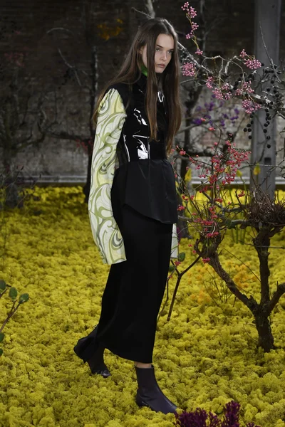 Look 67